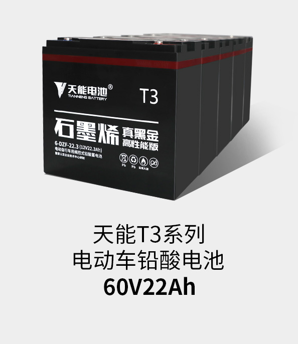 尊龙凯时T3系列60v22ah