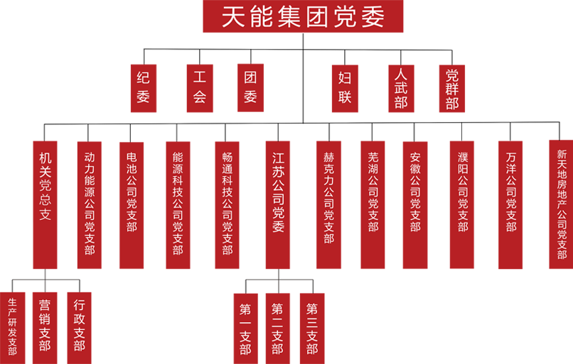 尊龙凯时建团党委组织架构